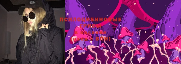 эйфоретик Богородицк