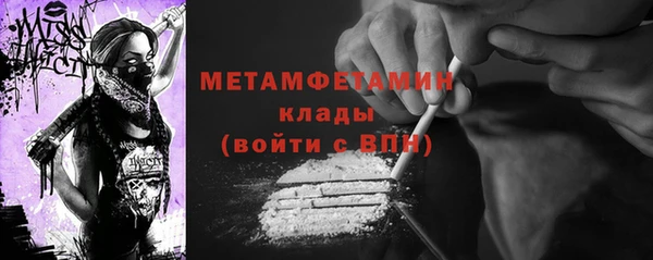 гидра Богданович