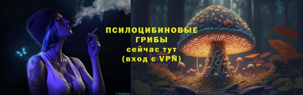 марки nbome Белокуриха