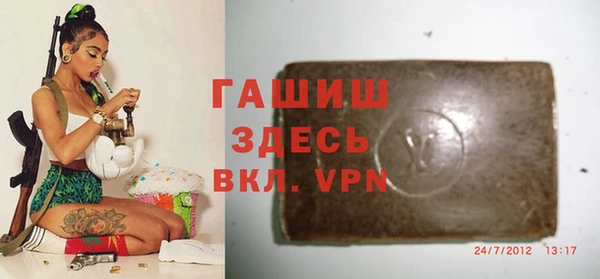 гидра Богданович