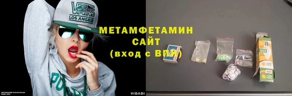 гидра Богданович