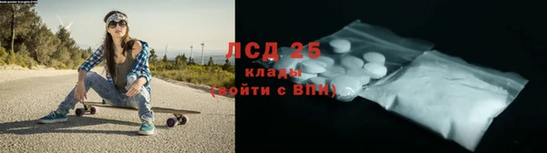гидра Богданович