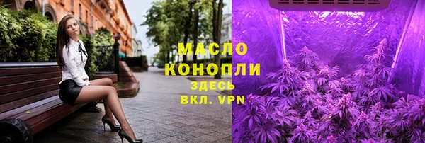 гидра Богданович