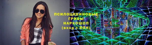 твердый Богородск