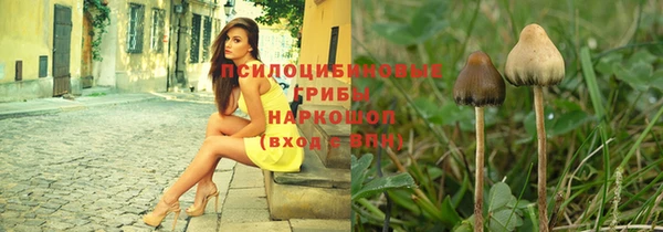 твердый Богородск