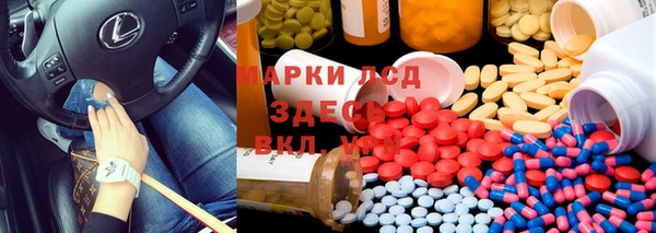 гидра Богданович