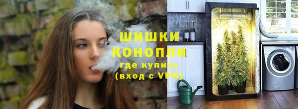гидра Богданович