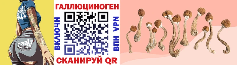 Галлюциногенные грибы ЛСД  Велиж 